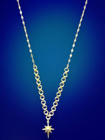 14 Ayar Altın Taşlı Kuzey Yıldızı Kolye - 4