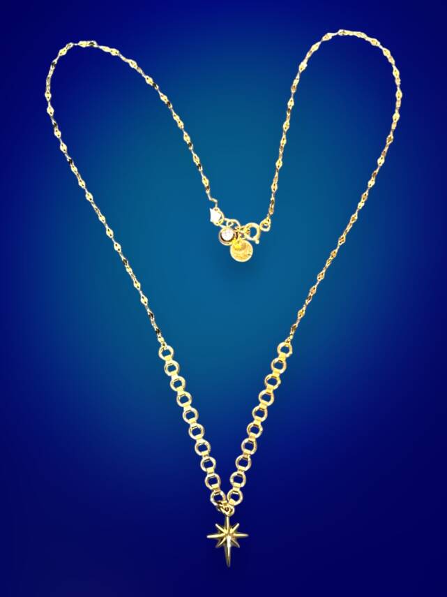 14 Ayar Altın Taşlı Kuzey Yıldızı Kolye - 2