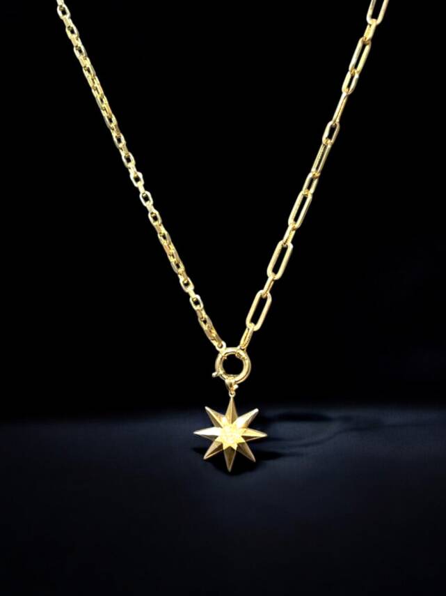 14 Ayar Altın Taşlı Kuzey Yıldızı Kolye - 5