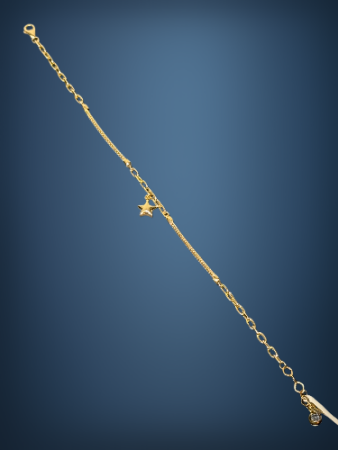 14 Ayar Altın Şans Bileklik - 2