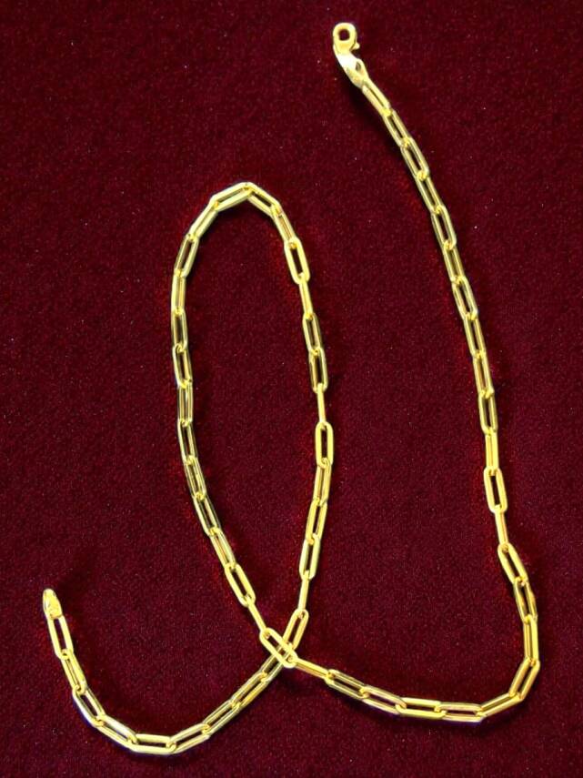 Altın Ataç Zincir Kolye - 6