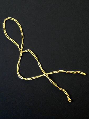 Altın Ataç Zincir Kolye - 5