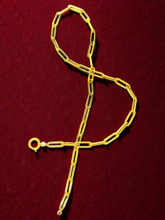 Altın Ataç Zincir Kolye - 3