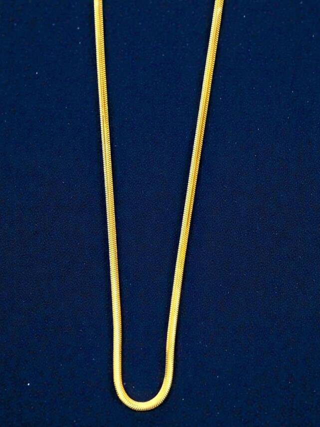 Altın Balıksırtı Zincir Kolye - 1