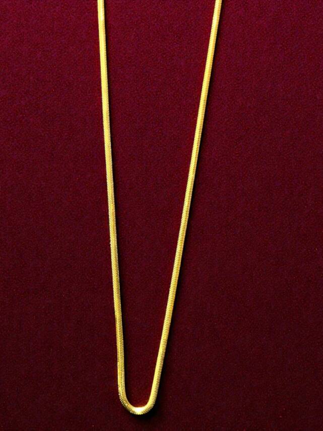 Altın Balıksırtı Zincir Kolye - 1