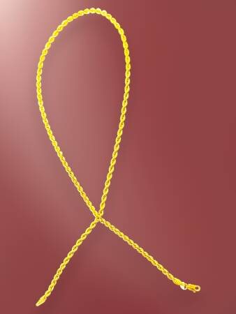 Altın Halat Zincir Kolye - 10