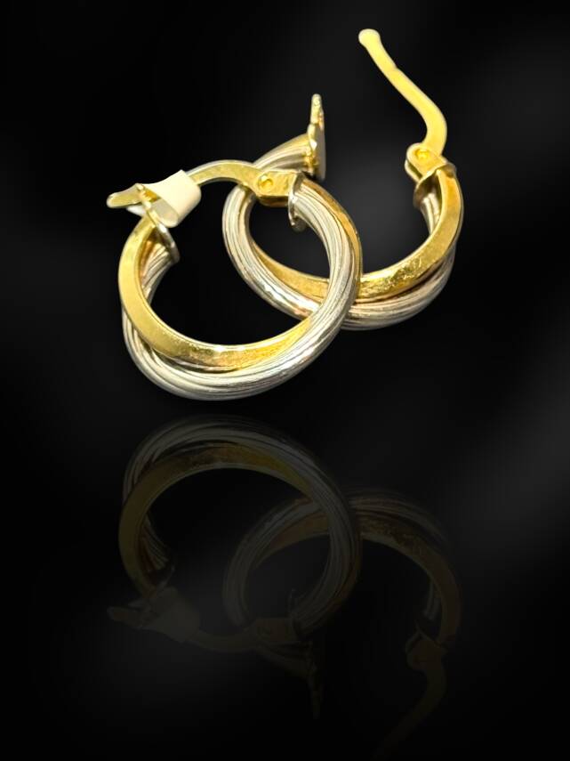 İkili Desenli Altın Halka Küpe - 2