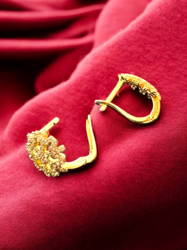 Kar Tanesi Model Taşlı Altın Küpe - 2