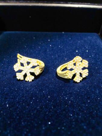 Kar Tanesi Model Taşlı Altın Küpe - 6