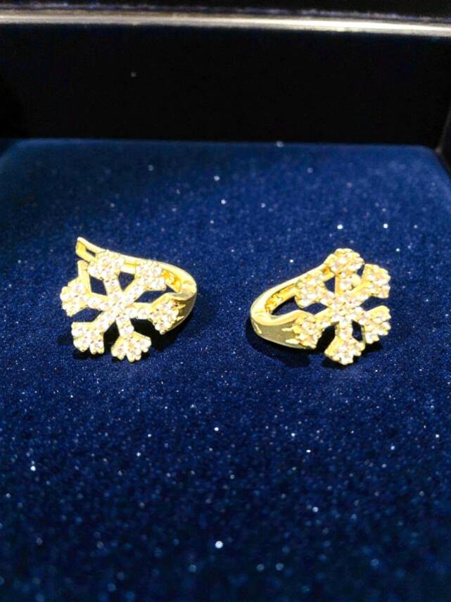 Kar Tanesi Model Taşlı Altın Küpe - 6