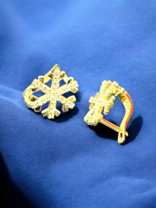 Kar Tanesi Model Taşlı Altın Küpe - 5