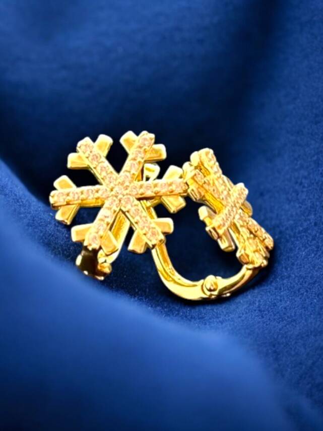 Kar Tanesi Model Taşlı Altın Küpe - 2