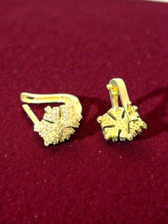 Kar Tanesi Model Taşlı Altın Küpe - 3