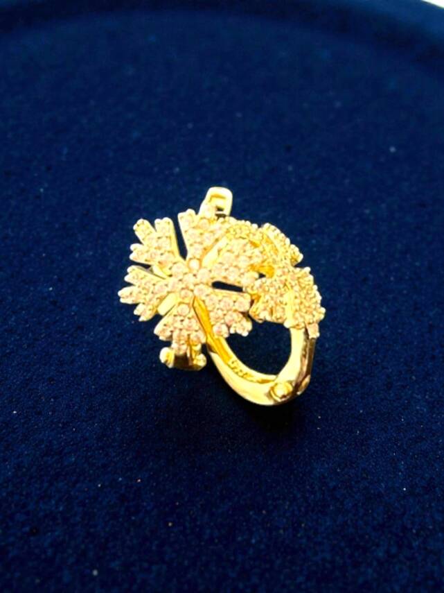 Kar Tanesi Model Taşlı Altın Küpe - 1