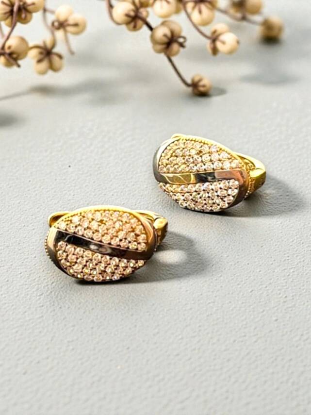 Taşlı Altın Küpe - 4