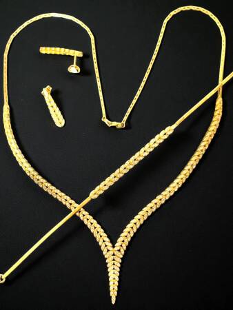 Başak Model Taşlı Altın Takı Seti - 4