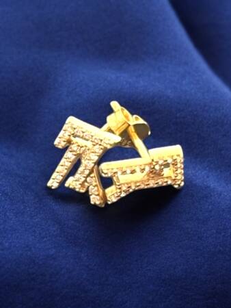 Taşlı Altın Top Küpe - 3