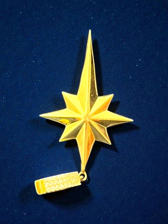 Taşlı Kuzey Yıldızı Altın Uç - 3