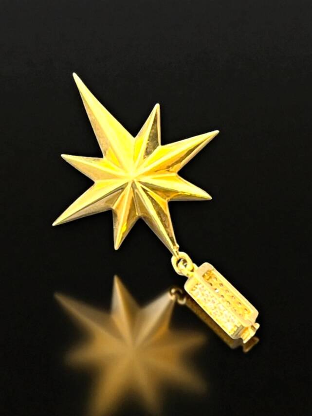 Taşlı Kuzey Yıldızı Altın Charm - 2