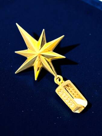 Taşlı Kuzey Yıldızı Altın Charm - 5
