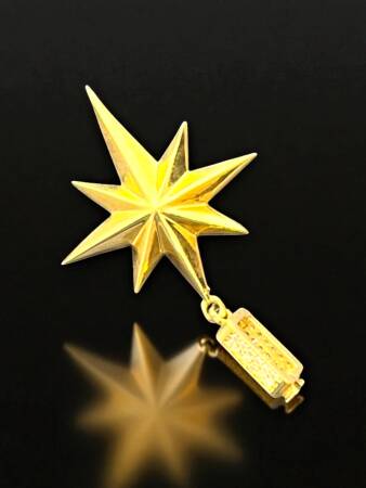 Taşlı Kuzey Yıldızı Altın Uç - 2