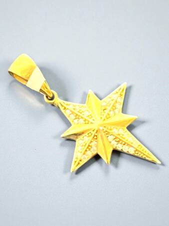 Taşlı Kuzey Yıldızı Altın Uç - 3