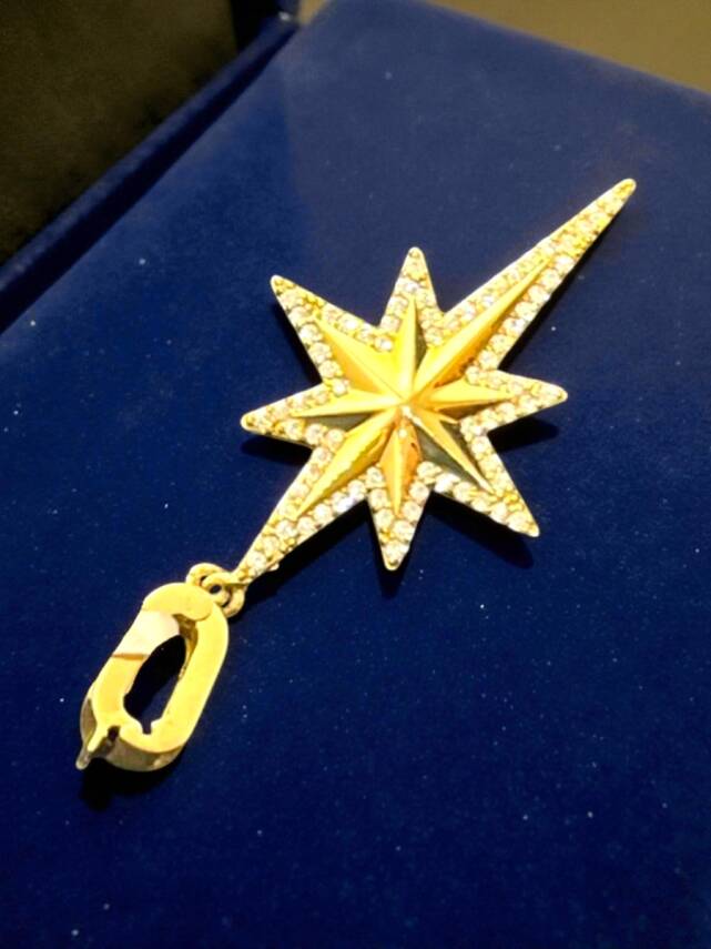 Taşlı Kuzey Yıldızı Altın Uç - 3