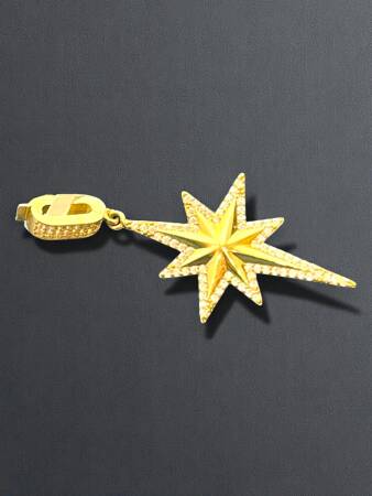 Taşlı Kuzey Yıldızı Altın Uç - 4