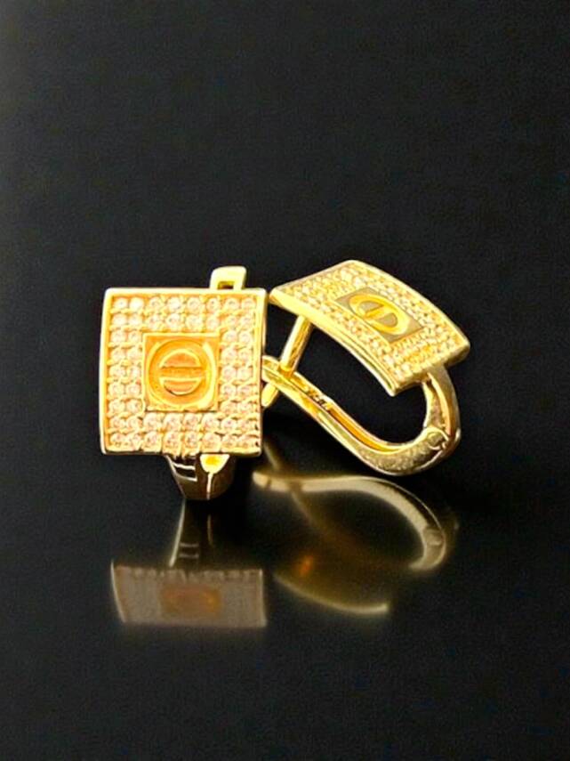 Vida Model Taşlı Altın Küpe - 1